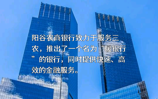 山东阳谷农村商业银行股份有限公司