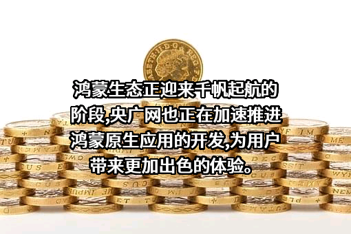 央广网文化传媒有限公司