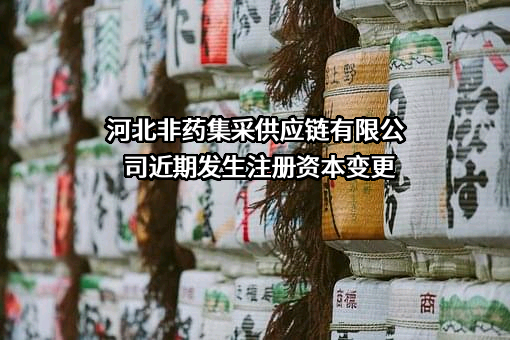 河北非药集采供应链有限公司
