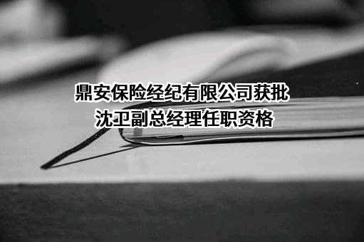 鼎安保险经纪有限公司