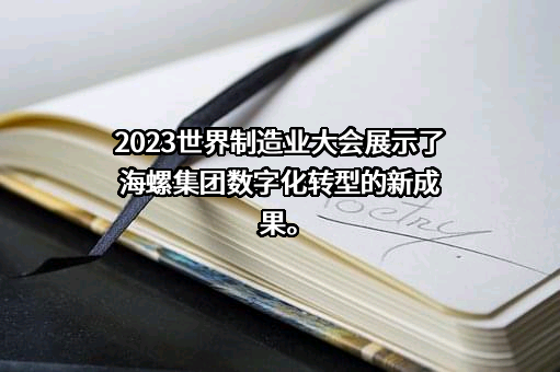 上海海螺（集团）有限公司