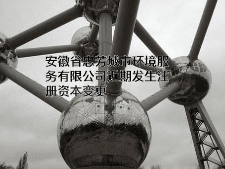 安徽省忠芳城市环境服务有限公司