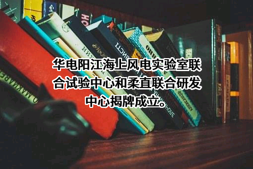 阳江海上风电实验室