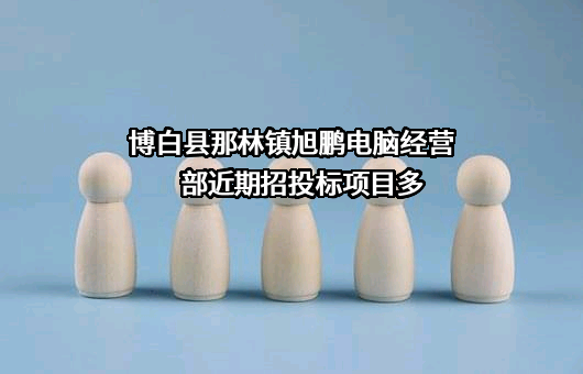 博白县那林镇旭鹏电脑经营部近期招投标项目多