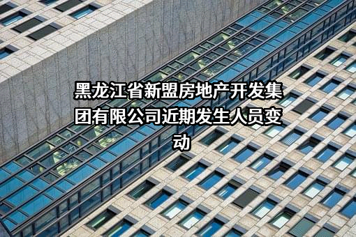 黑龙江省新盟房地产开发集团有限公司