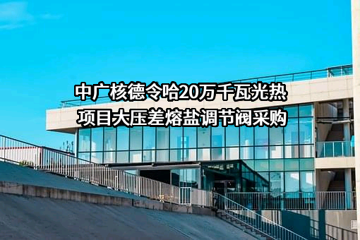 中广核新能源德令哈有限公司