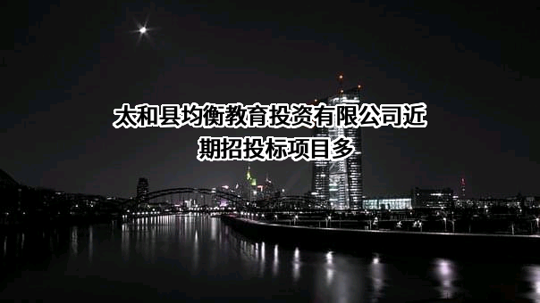 太和县均衡教育投资有限公司