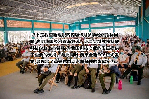 比亚迪股份有限公司