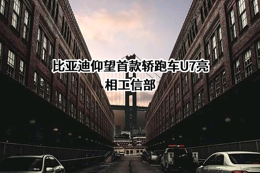 比亚迪股份有限公司