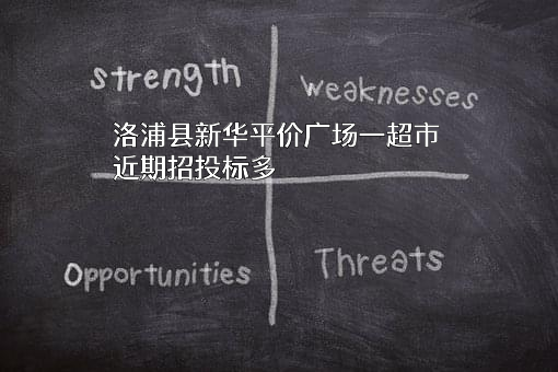 洛浦县新华平价广场一超市