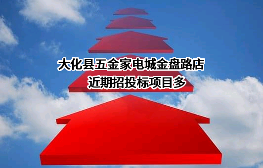 大化县五金家电城金盘路店