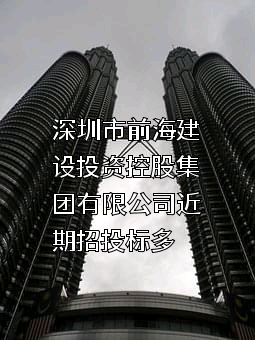 深圳市前海建设投资控股集团有限公司