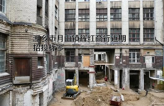 湘乡市月山镇辉红商行近期招投标项目多