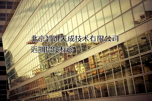 北京智讯天成技术有限公司