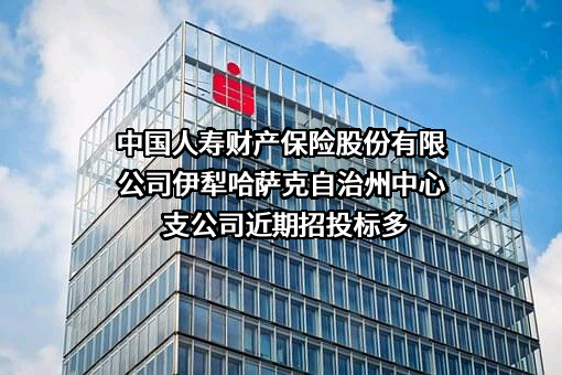 中国人寿财产保险股份有限公司伊犁哈萨克自治州中心支公司