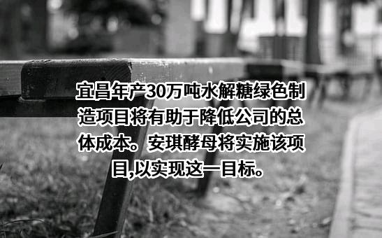 安琪酵母股份有限公司