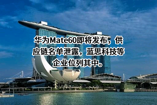 华为技术有限公司