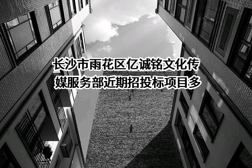 长沙市雨花区亿诚铭文化传媒服务部近期招投标项目多