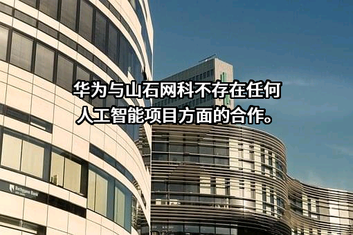 华为技术有限公司