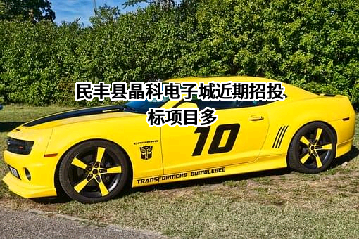 民丰县晶科电子城