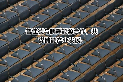 广州鹏辉能源科技股份有限公司