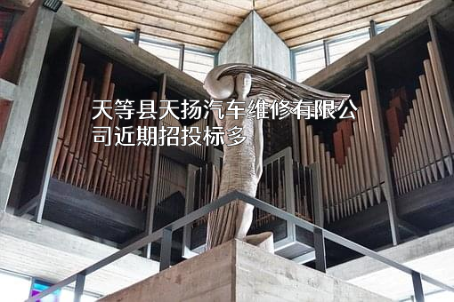 天等县天扬汽车维修有限公司
