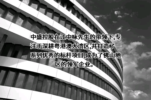 广东中盛控股有限公司