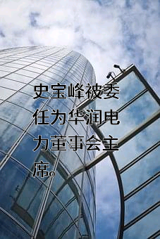 華潤電力控股有限公司