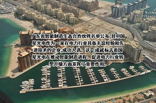 佛山市国星光电股份有限公司