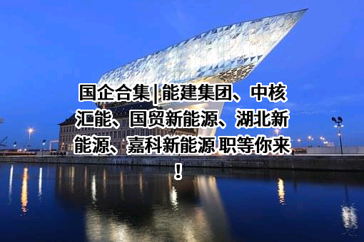 厦门国贸新能源科技有限公司
