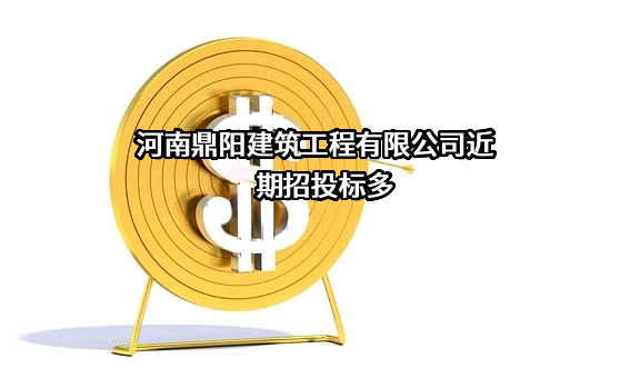 河南鼎阳建筑工程有限公司