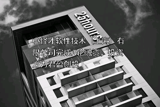 小怪才软件技术（上海）有限公司