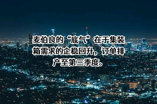 中集安瑞科控股有限公司