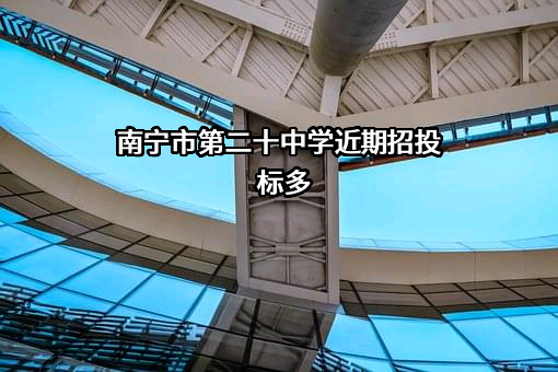 南宁市第二十中学