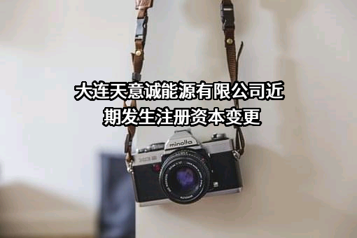 大连天意诚能源有限公司