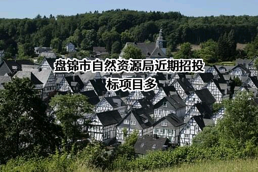 盘锦市自然资源局