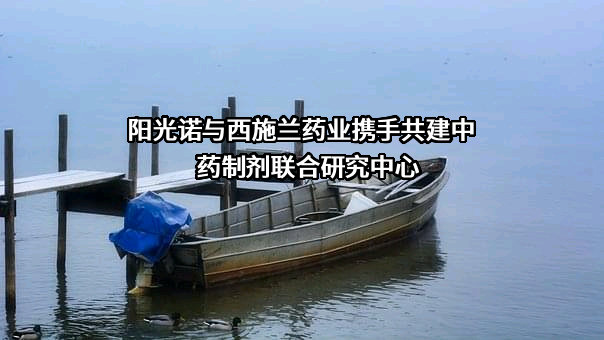 北京阳光诺和药物研究股份有限公司