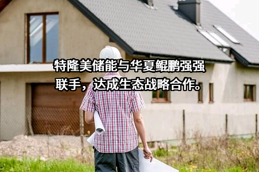 成都特隆美储能技术有限公司