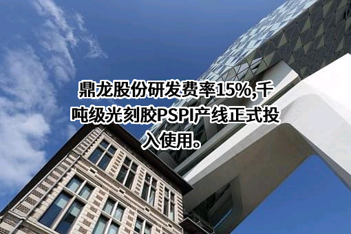 湖北鼎龙控股股份有限公司