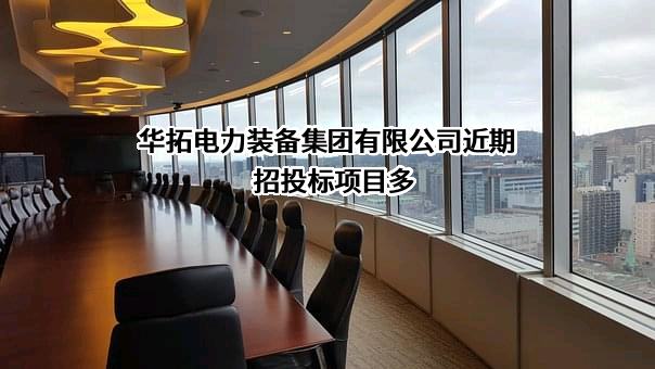 华拓电力装备集团有限公司近期招投标项目多