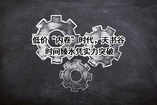 低价“内卷”时代，天书谷时间臻水凭实力突破