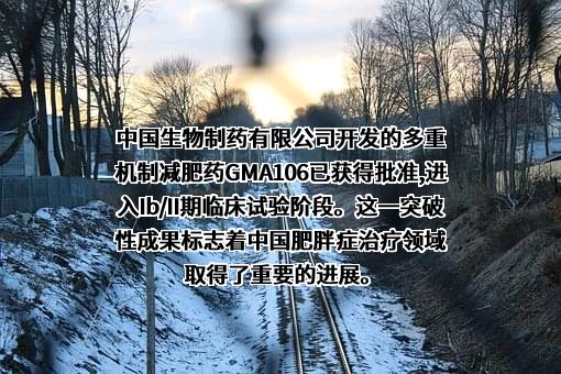 鸿运华宁（杭州）生物医药有限公司