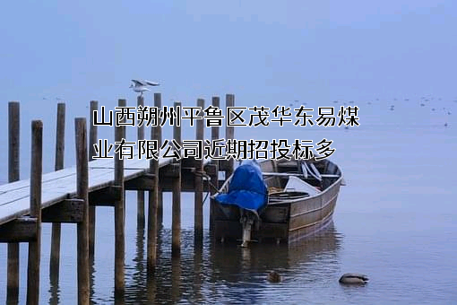山西朔州平鲁区茂华东易煤业有限公司