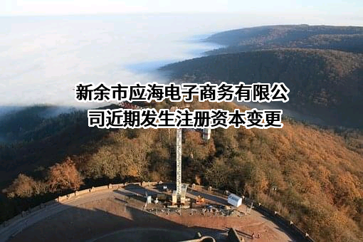 新余市应海电子商务有限公司