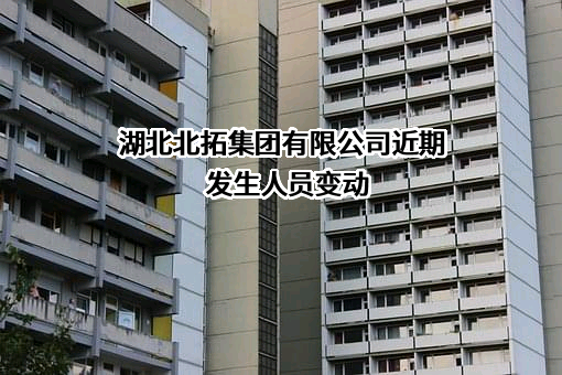 湖北北拓集团有限公司