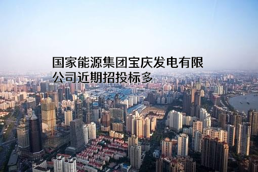 国家能源集团宝庆发电有限公司
