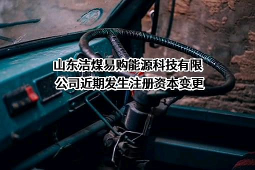 山东洁煤易购能源科技有限公司