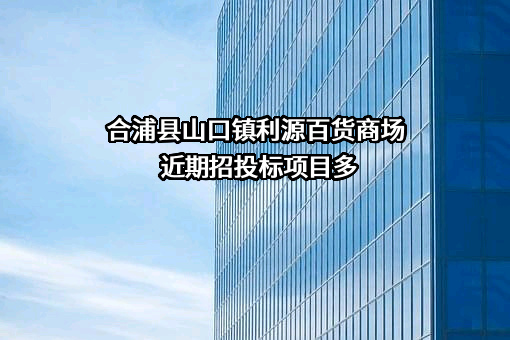 合浦县山口镇利源百货商场近期招投标项目多