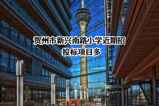 贺州市新兴南路小学