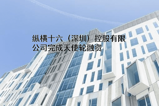 纵横十六（深圳）控股有限公司